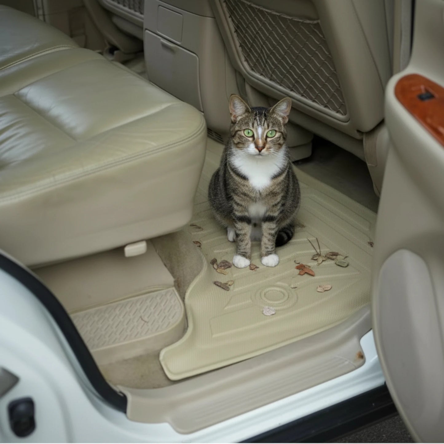Ninja Cruiser beige 3D floor mats for Land Cruiser 100/Lexus LX470, with a cat sitting on them.